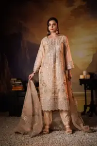 3PC Masoori Net Embroidered - Peach - Front View